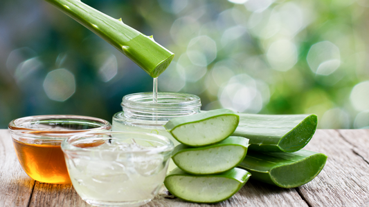 Why Skin & Hair Love Aloe Vera + Free DIY Recipes!