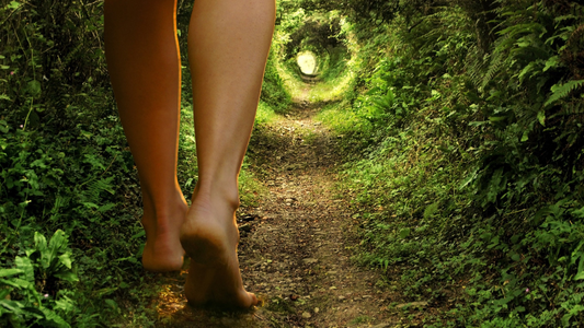 Unplug, Rewild, Reclaim: Come Home to Nature (and Yourself)