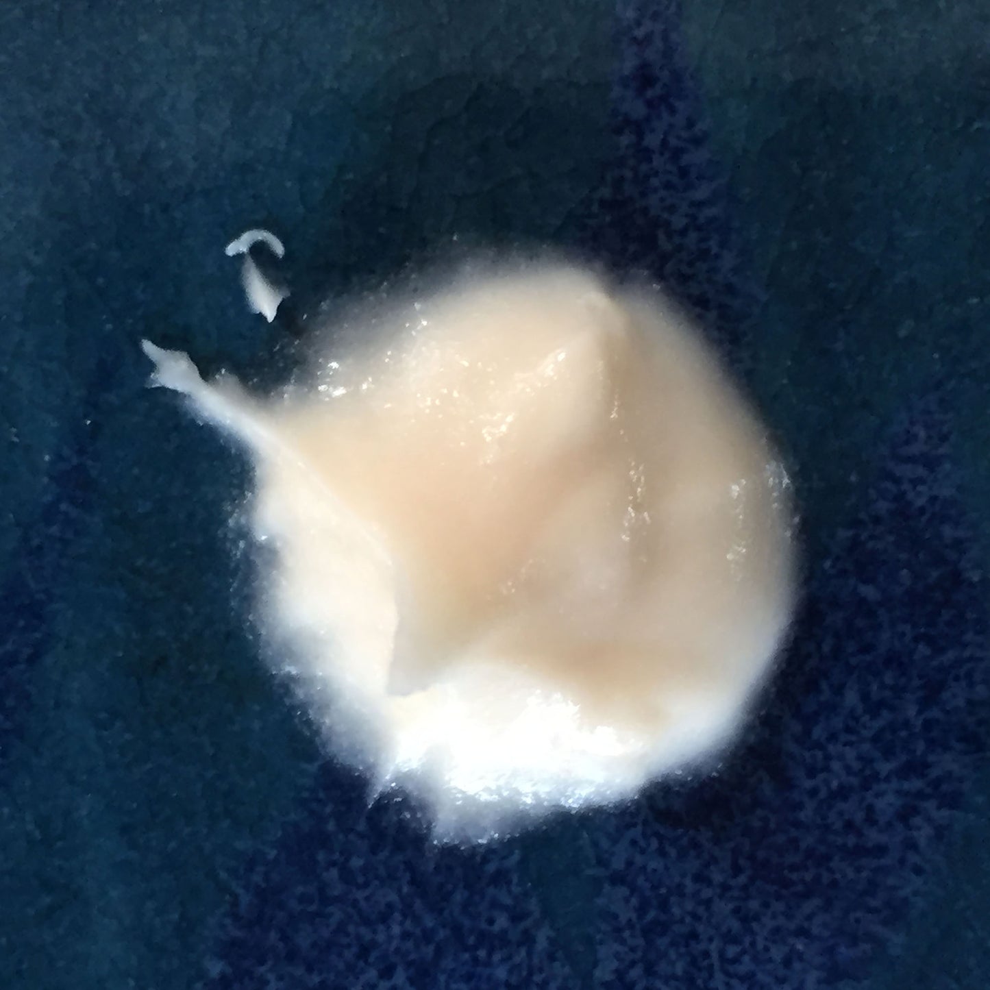 Moisturizing or Oily Kapha Skin