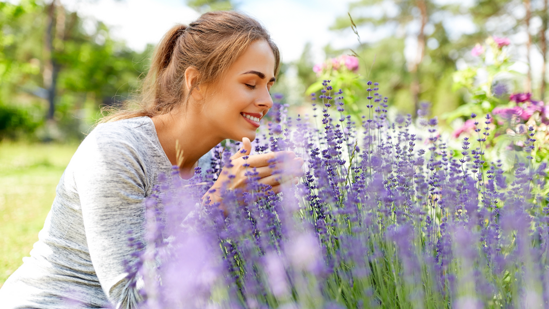 Keep Bugs at Bay, the Natural DIY Way